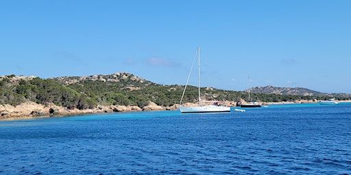 Proteggere la biodiversità nel Mediterraneo - Vivi Il Mare Festival 2024 | Su Siccu, pontile Cagliari Sailing Charter