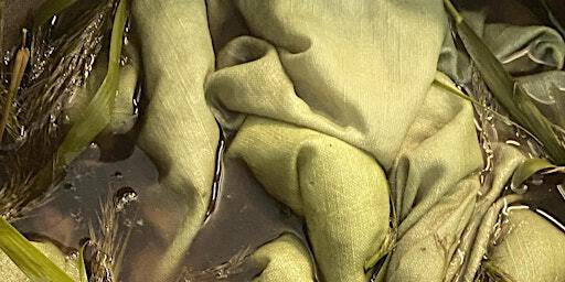 Blank Slate - Natural Plant Dyes | Focal Point Gallery