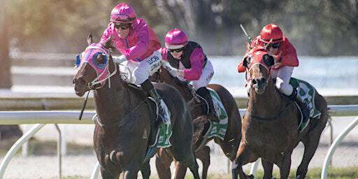 Aquis Beaudesert Raceday | Beaudesert Race Club