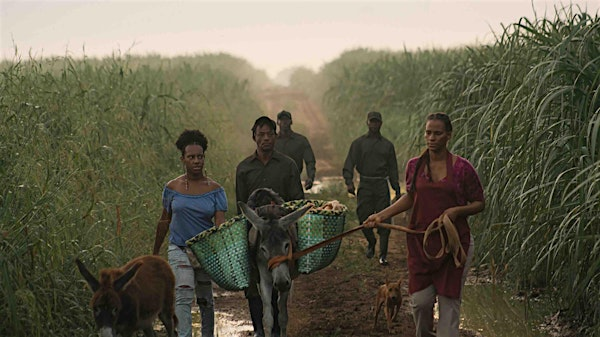 Film Screening - Sugar Island | University Student Center