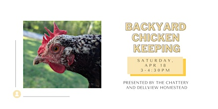 Backyard Chicken Keeping | The Chattery