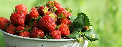 Celebrate Abundance, Play, and Delight on the Full Strawberry Moon | 1503 E 12th Ave