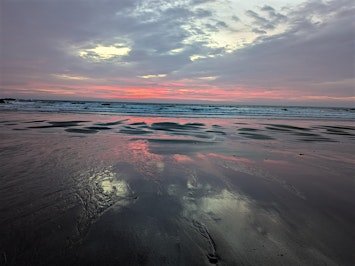 New Dawn New Hope | Coldingham Bay