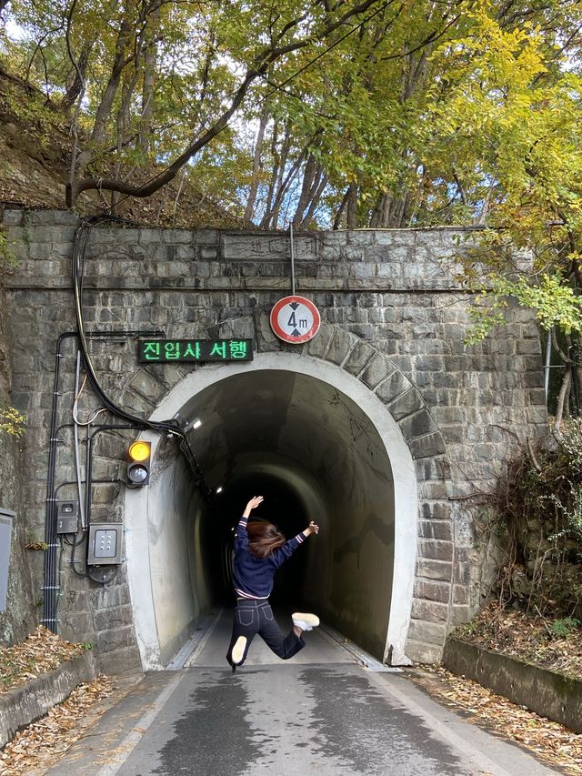 영화 똥개촬영지