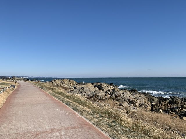 [🇰🇷, 부산] 기장의 오시리아 해안산책로 🌊