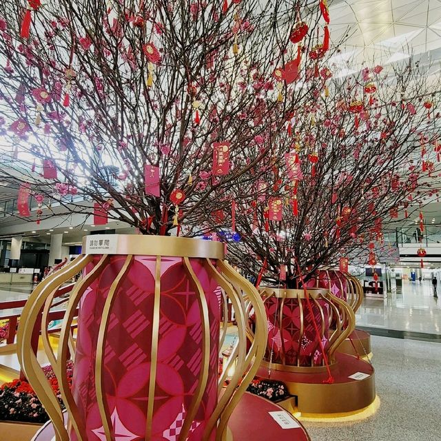 新年🎄好去處 ～ 香港國際機場 