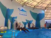 โชว์โลมาสุดน่ารัก💦