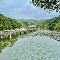 寒冷天氣走去行山