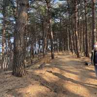 강원도양양 하조대 북카페 “카페로그”