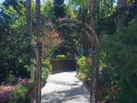 城門谷賞花好去處