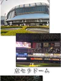 大阪！コンサートや野球⚾️【京セラドーム】