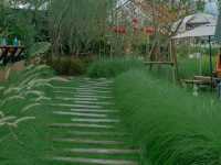 คาเฟ่สุดชิลใกล้กรุง วิวท้องทุ่ง แค่นครนายก🍃