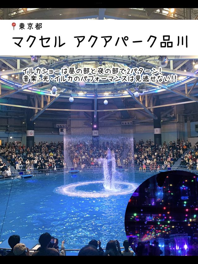 雨の日に行きたい！水族館7選