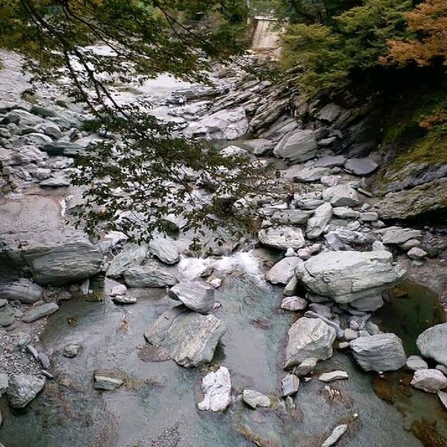一步一驚心的藤蔓橋