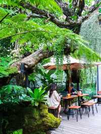 คาเฟ่โอเอซิสกลางเมือง🌿🌳