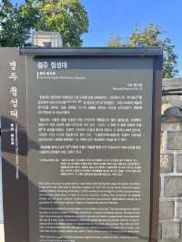 🤍경주 핫플 - 첨성대🤍