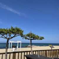 동해바다의 대표_ 강문해변⛱️