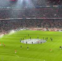 Impressive Stadium - Allianz Arena 