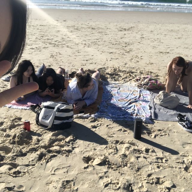 야생 캥거루와 거북이를 볼 수 있는 퀸즐랜드의 아름다운 섬🐳