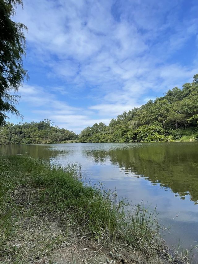 流水響水塘-行山新手也能輕鬆完成的路線