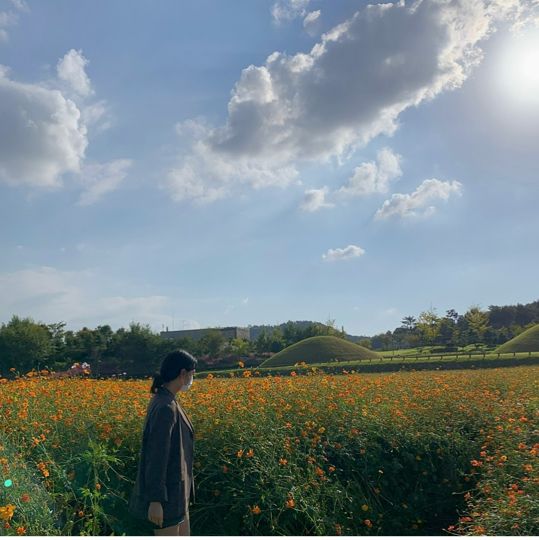나주 핑크뮬리 ‘국립박물관‘