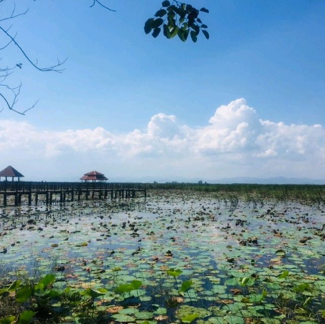 ประจวบคีรีขันธ์