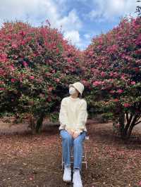 제주 동백포레스트