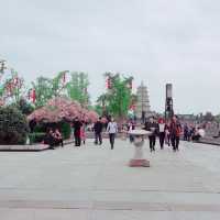 【大雁塔】西安🇨🇳