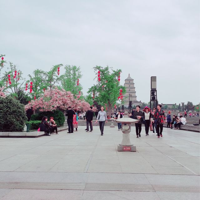 【大雁塔】西安🇨🇳