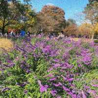 【のんびりデートに最適🍃昭和記念公園】