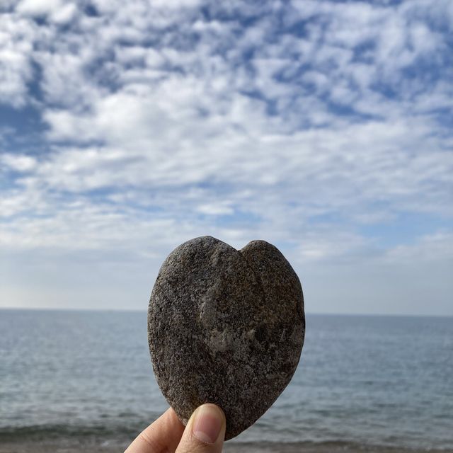 태안 파도리해수욕장 한적한 여행지로 추천!💙