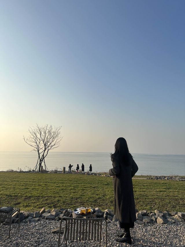 백수해안과 보리밭이 어우러진 영광카페,카페 보리