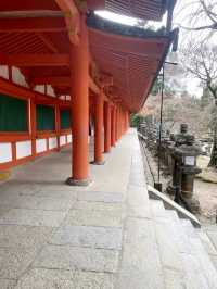 奈良県🦌世界遺産、古都奈良の文化財⛩【春日大社】