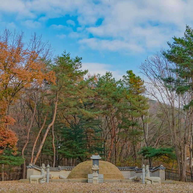 서오릉 산책 한 바퀴
