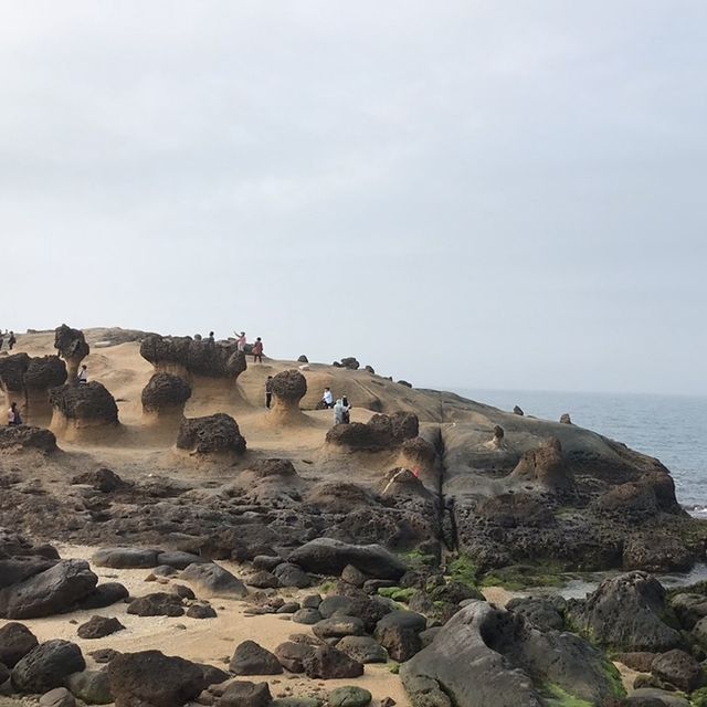 奇岩美石探索之遊記載🪨野柳地質公園