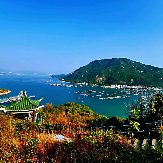 南丫島