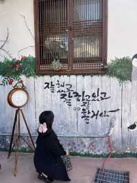 인생샷 건질 수있는 광주핫플
