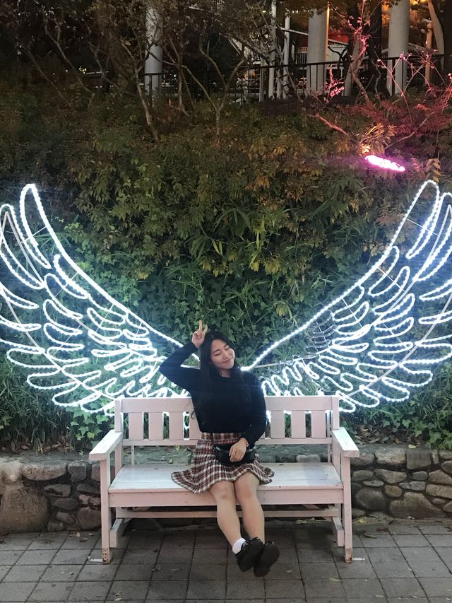 대구에서 포토존이 가장 많은 곳 🌸