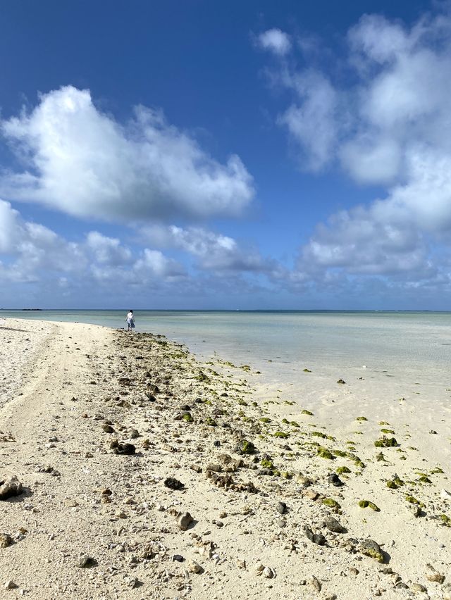 【石垣島】星の砂がとれる！？竹富島の星砂浜