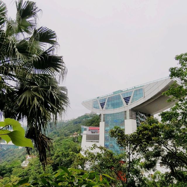 香港好去處 ～ 盧吉道 
