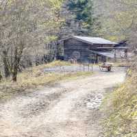 大菩薩峠道中の富士見山荘
