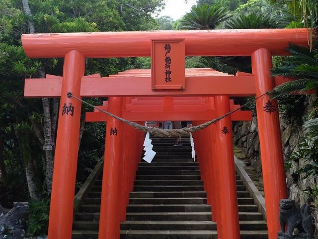 鵜戶神宮⛩️⛩️