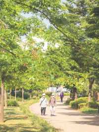 이번 주말은 '뚝섬한강공원'