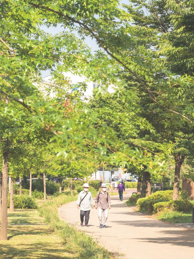 이번 주말은 '뚝섬한강공원'