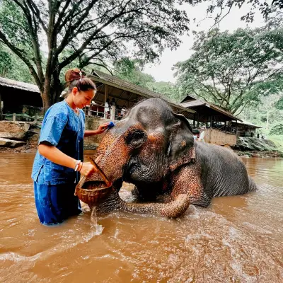 คู่มือท่องเที่ยวล่าสุดสำหรับ ปางช้างแม่สา ประจำเดือนกรกฎาคม (อัปเดตปี 2023), รีวิว ปางช้างแม่สา, ที่อยู่และเวลาเปิดทำการของ ปางช้างแม่สา, สถานที่ท่องเที่ยวยอดนิยม โรงแรม และร้านอาหารใกล้ ปางช้างแม่สา - Trip.com คู่มือท่องเที่ยวล่าสุดสำหรับ ปางช้างแม่สา ประจำเดือนกรกฎาคม (อัปเดตปี 2023), รีวิว ปางช้างแม่สา, ที่อยู่และเวลาเปิดทำการของ ปางช้างแม่สา, สถานที่ท่องเที่ยวยอดนิยม โรงแรม และร้านอาหารใกล้ ปางช้างแม่สา - Trip.Com