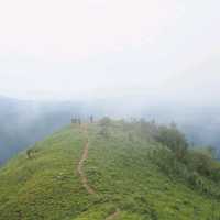 ดอยหลวงตาก ที่คนสายเดินป่าไม่ควรพลาด