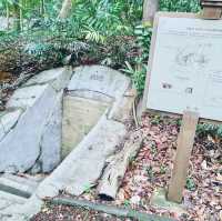 Labrador Nature Reserve, Singapore