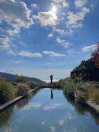 [경남/남해]꽃구경과 바다를 모두 본는 섬이정원🌱