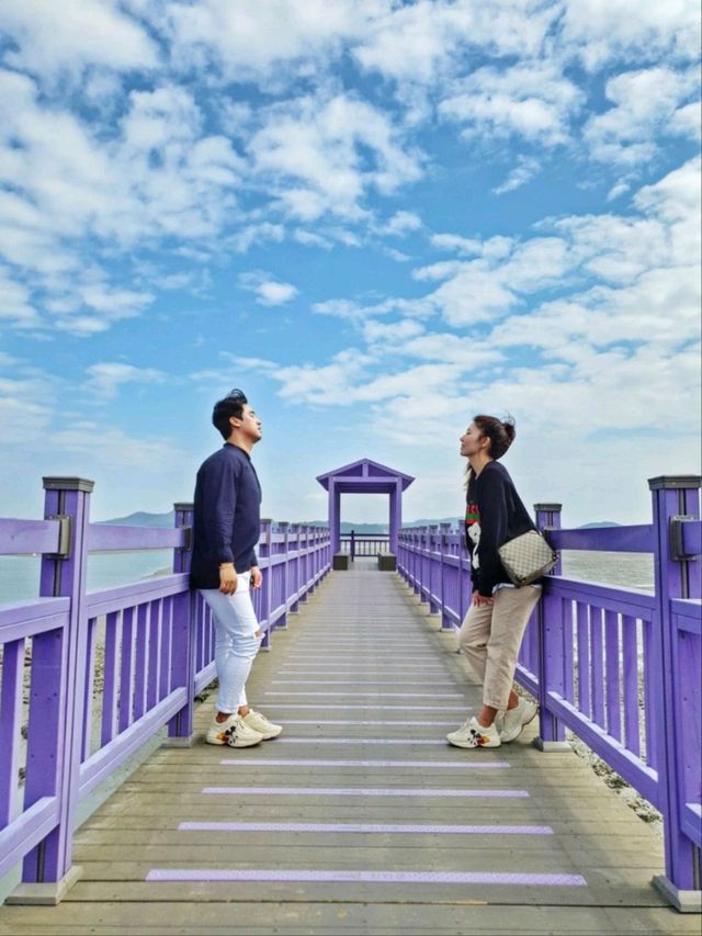 보라보라해💜세계 최우수 관광마을 전남신안 퍼플섬! 퍼플교💜💜