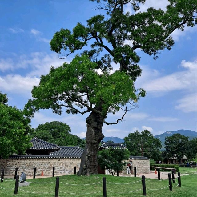 해미읍성 여행